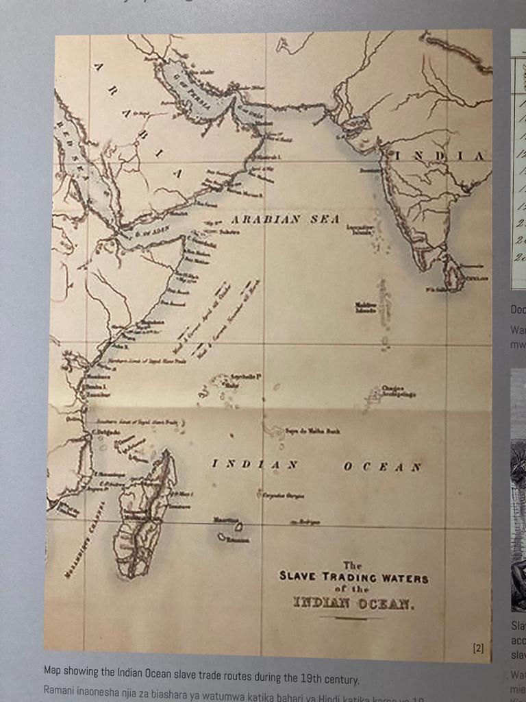 Tanzania's @cosmopolitin past, #WesternIndianOcean, slave trade and Indian-Arab diaspora @SaleemulHuq2 @CameliaDewan @Cammy_biswas @headhunter2688 @ananya_jahanara @binasengar @SaarahJappie  @Ranjana_rahul @SumanaSiliguri @GrahamSmith4 @SueWillman @ProfESimpson @migrationhist