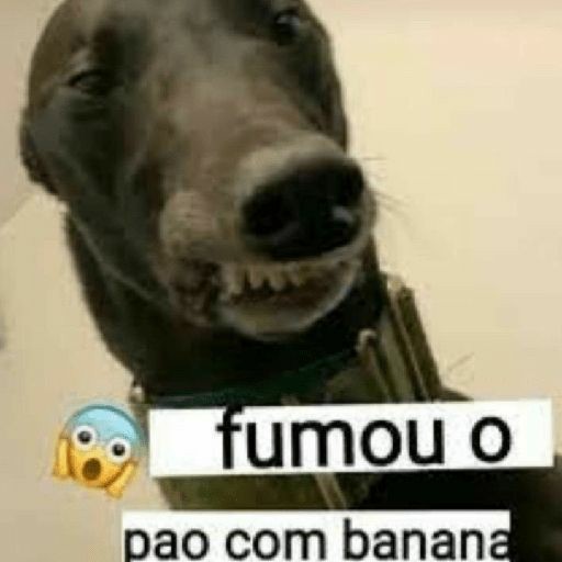 vitinho 🚱 (@mxvictt) on Twitter photo 