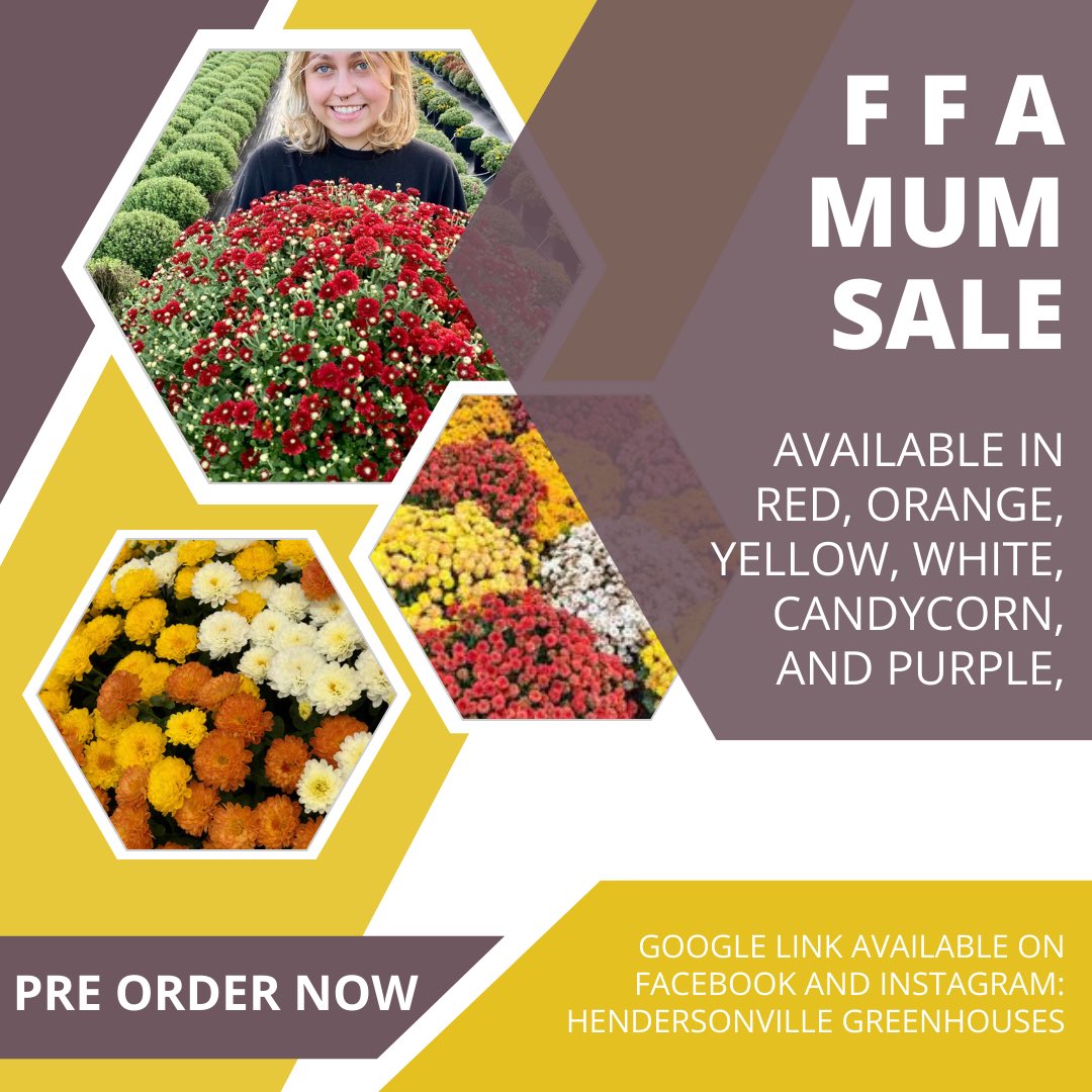 docs.google.com/forms/d/e/1FAI… Pre-order is now open!