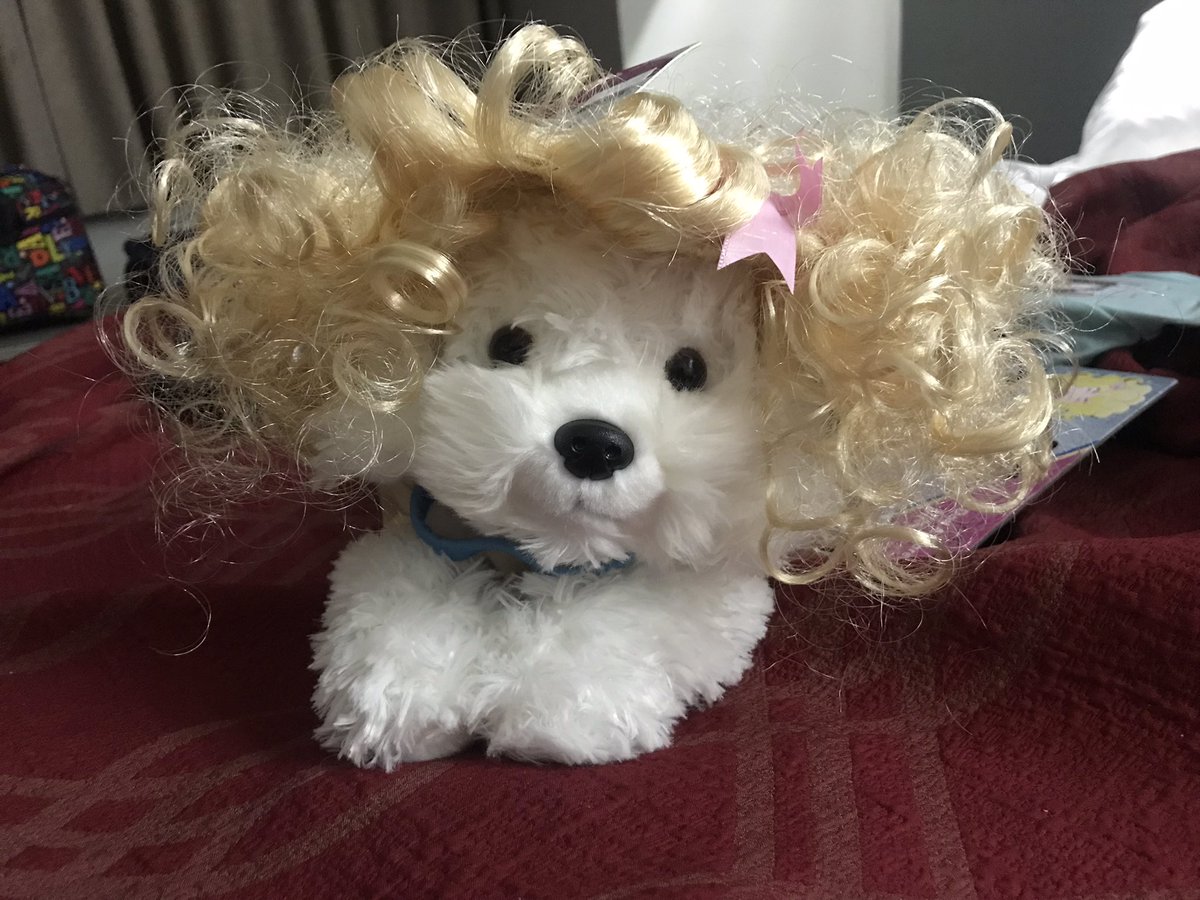 DearDollyParton's tweet photo. .@Dollywood now has @DollyPartonโs Doggy Parton dog collection. If you donโt have a dog, you can get a stuffed animal like me and dress it up. ๐ถ๐พ #dollyparton #dolly #doggyparton #dollywood #dogcollection #dogaccessories https://t.co/L8DsB5ROlX
