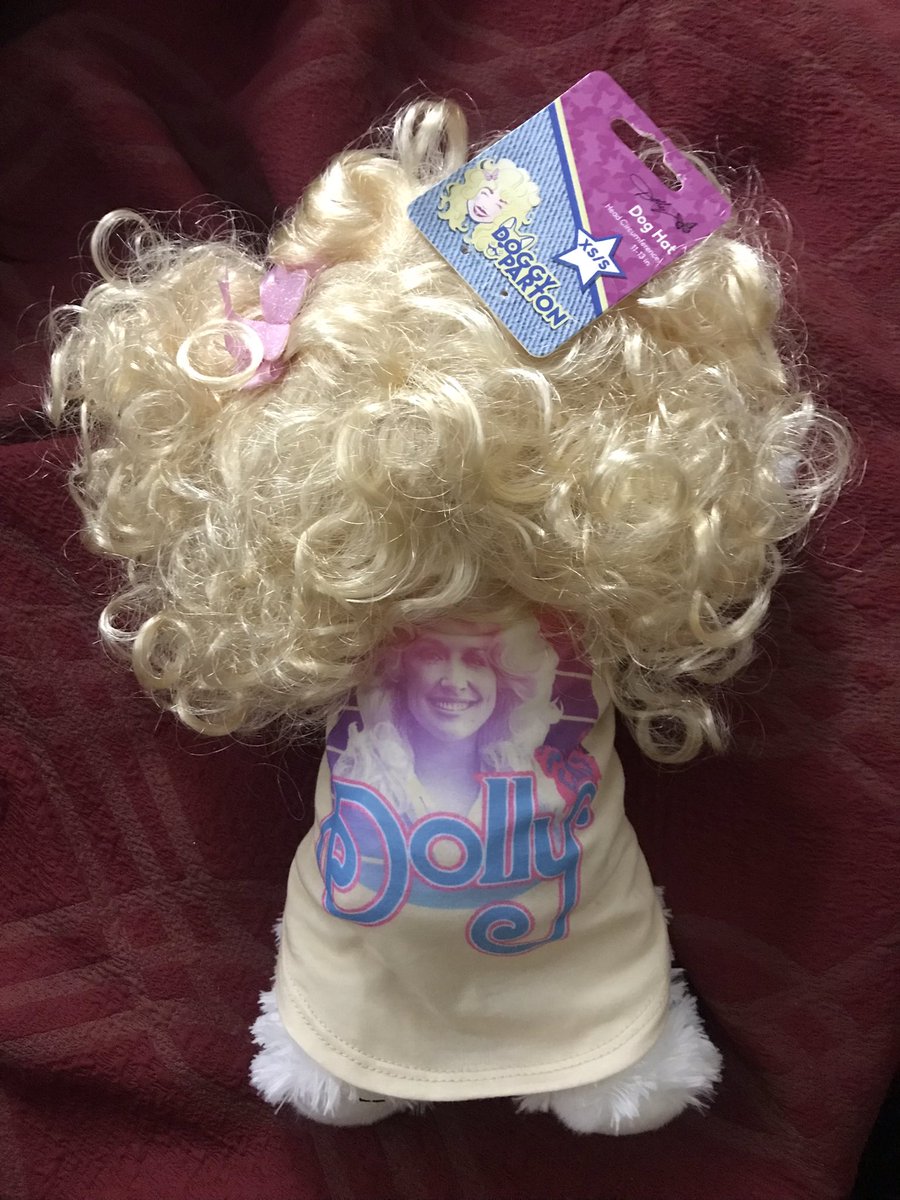 DearDollyParton's tweet photo. .@Dollywood now has @DollyPartonโs Doggy Parton dog collection. If you donโt have a dog, you can get a stuffed animal like me and dress it up. ๐ถ๐พ #dollyparton #dolly #doggyparton #dollywood #dogcollection #dogaccessories https://t.co/L8DsB5ROlX