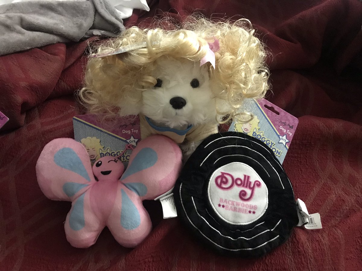 DearDollyParton's tweet photo. .@Dollywood now has @DollyPartonโs Doggy Parton dog collection. If you donโt have a dog, you can get a stuffed animal like me and dress it up. ๐ถ๐พ #dollyparton #dolly #doggyparton #dollywood #dogcollection #dogaccessories https://t.co/L8DsB5ROlX