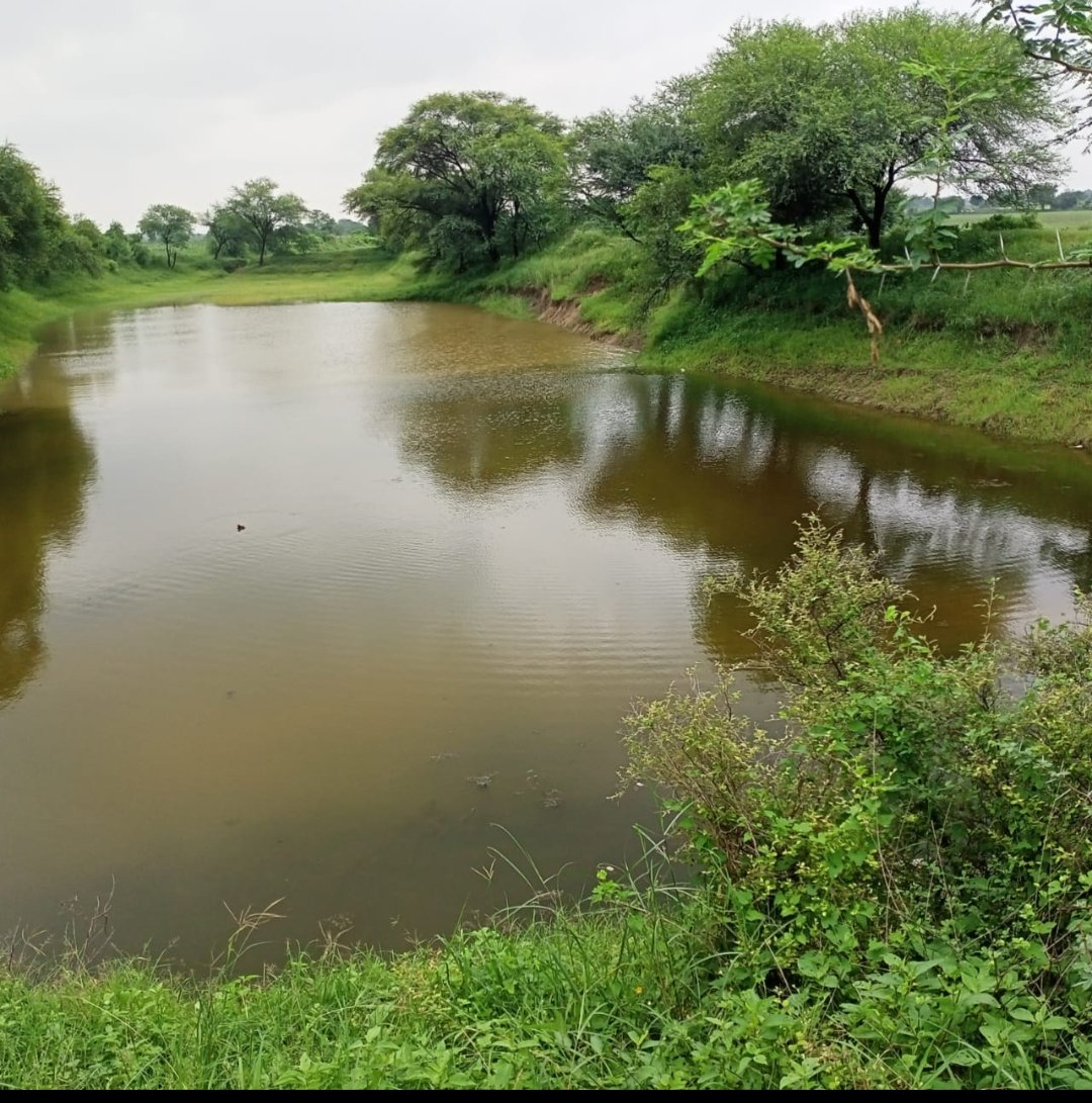 VikramBardala's tweet photo. लगता है अबकी बार खाली ही रह गए नादौती तहसील के #माड़ क्षेत्र के #कुण्डे ?
अब कोई चांस है क्या बरसात के ताकि भर सकें और #रबी फसल की आस बने !
सबसे ज्यादा दरकार #ERCP की माड़ क्षेत्र को है वर्तमान परिस्थितियों में !
#ERCP_कब_लागू_होगी
#रामरामसा !! https://t.co/bdtPqTkgC2
