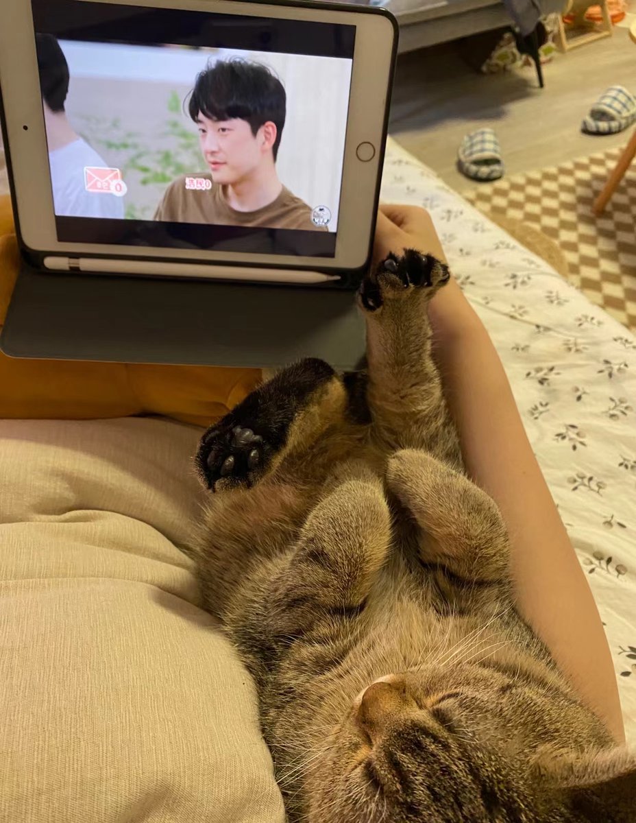 Shanzhu tweet media