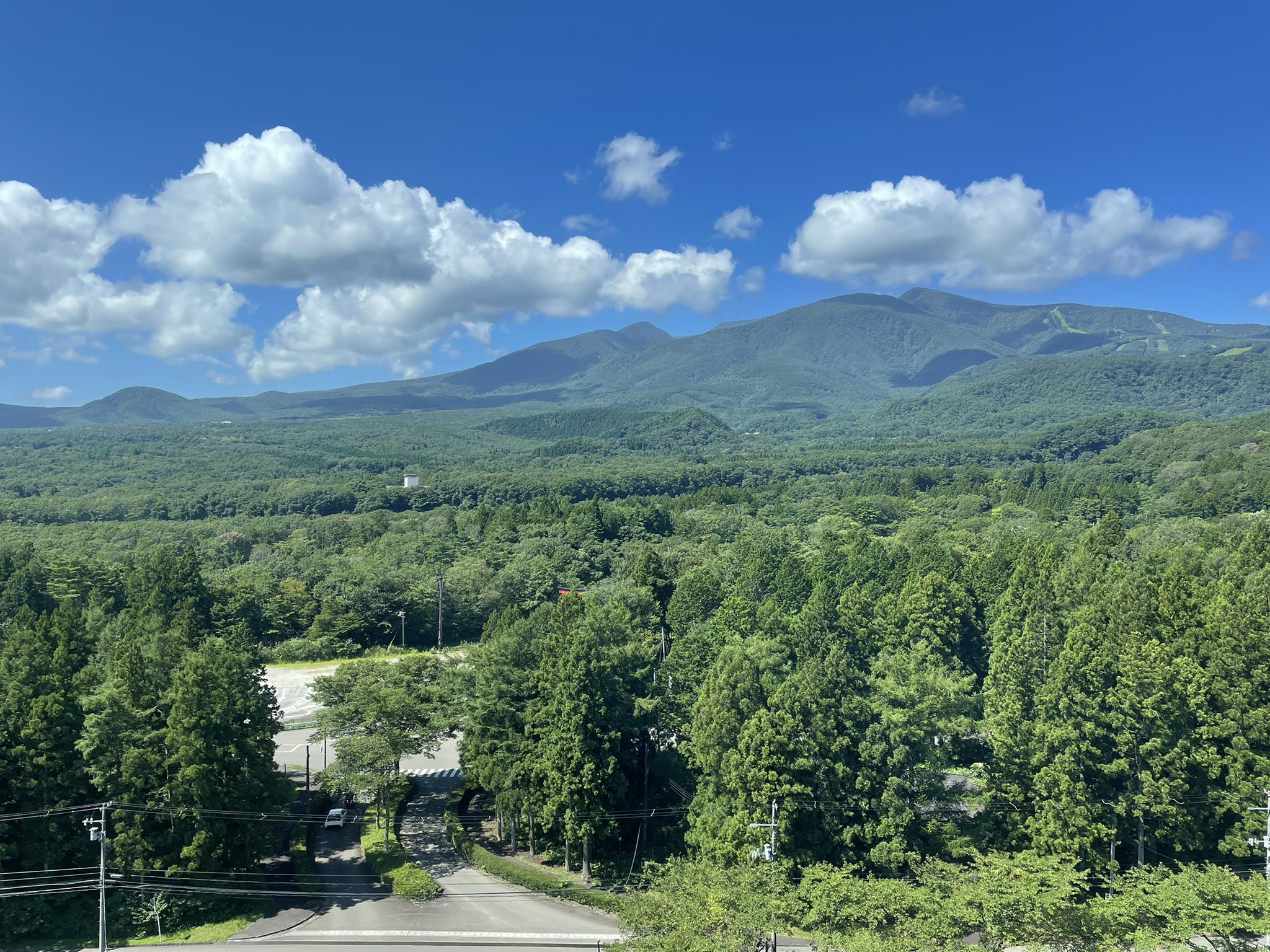 やきとり翔 焼き鳥移動販売 Yakisho1 Twitter
