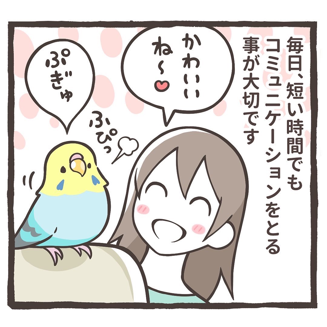 インスタにトリ扱い説明書をアップしました⤴️😆💕

こちらから読めます✨
↓↓
https://t.co/xcgkmShKg7 