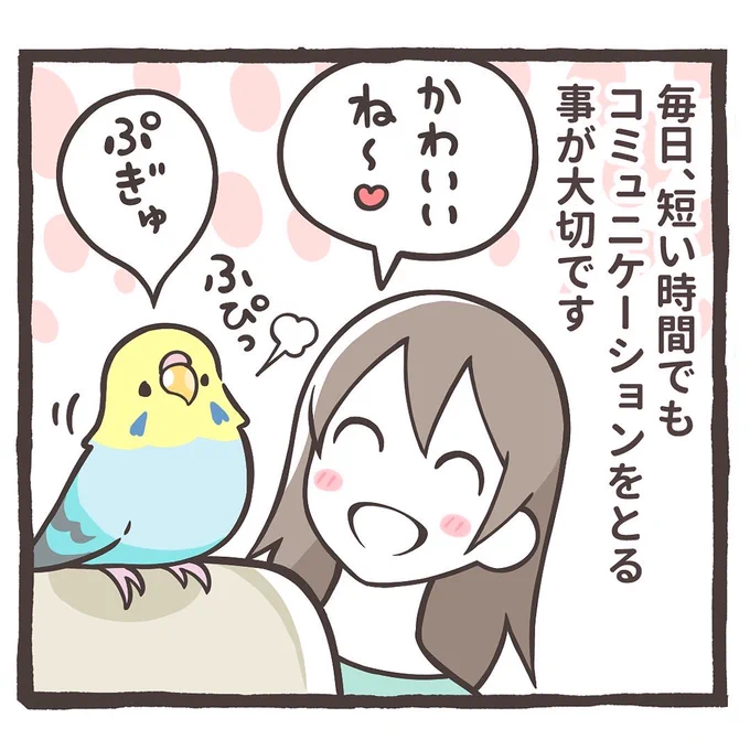 インスタにトリ扱い説明書をアップしました⤴️😆💕

こちらから読めます✨
↓↓
https://t.co/xcgkmShKg7 