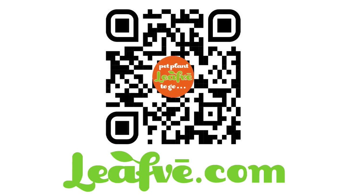 Living the van life or driving for a living.
Go Green wherever you go, go with a Pet Plant To Go from leafve.com
#vanlifestyle #vanlife #plant #lifestyle #uber #lyftdriver