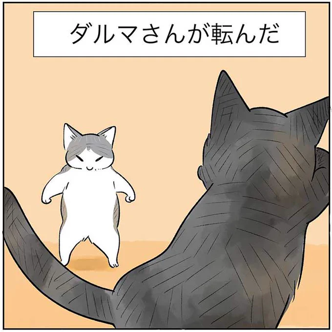 猫と『だるまさんが転んだ』で遊んでいた飼い主に、思わぬ悲劇が 「爆笑」「あるある!」 https://t.co/BOFrK4BoWl @grapeejpより 