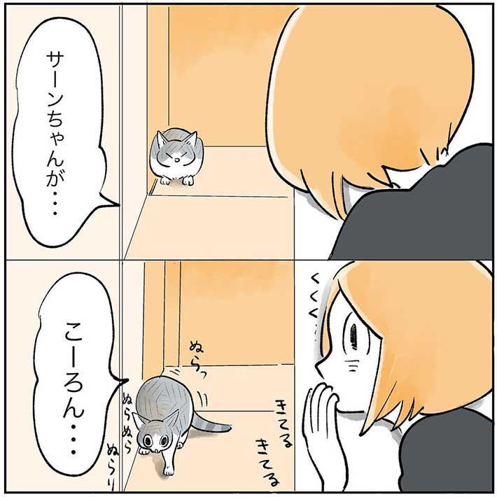 猫と『だるまさんが転んだ』で遊んでいた飼い主に、思わぬ悲劇が 「爆笑」「あるある!」 https://t.co/BOFrK4BoWl @grapeejpより