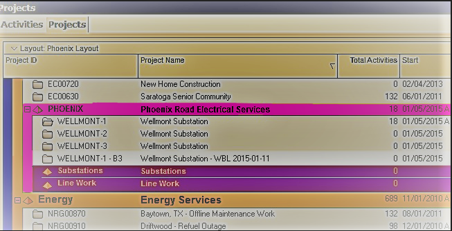 LlcLeopard's tweet photo. From the Projects EPS display, select the backed-up projects you want to eliminate. This makes it simple to eliminate duplicate #database records that are worthless and your system will operate successfully.  See more at https://t.co/ydCJ2X6YWP!

#p6 #primavera #maintainbackup https://t.co/BBYcAI9wuV