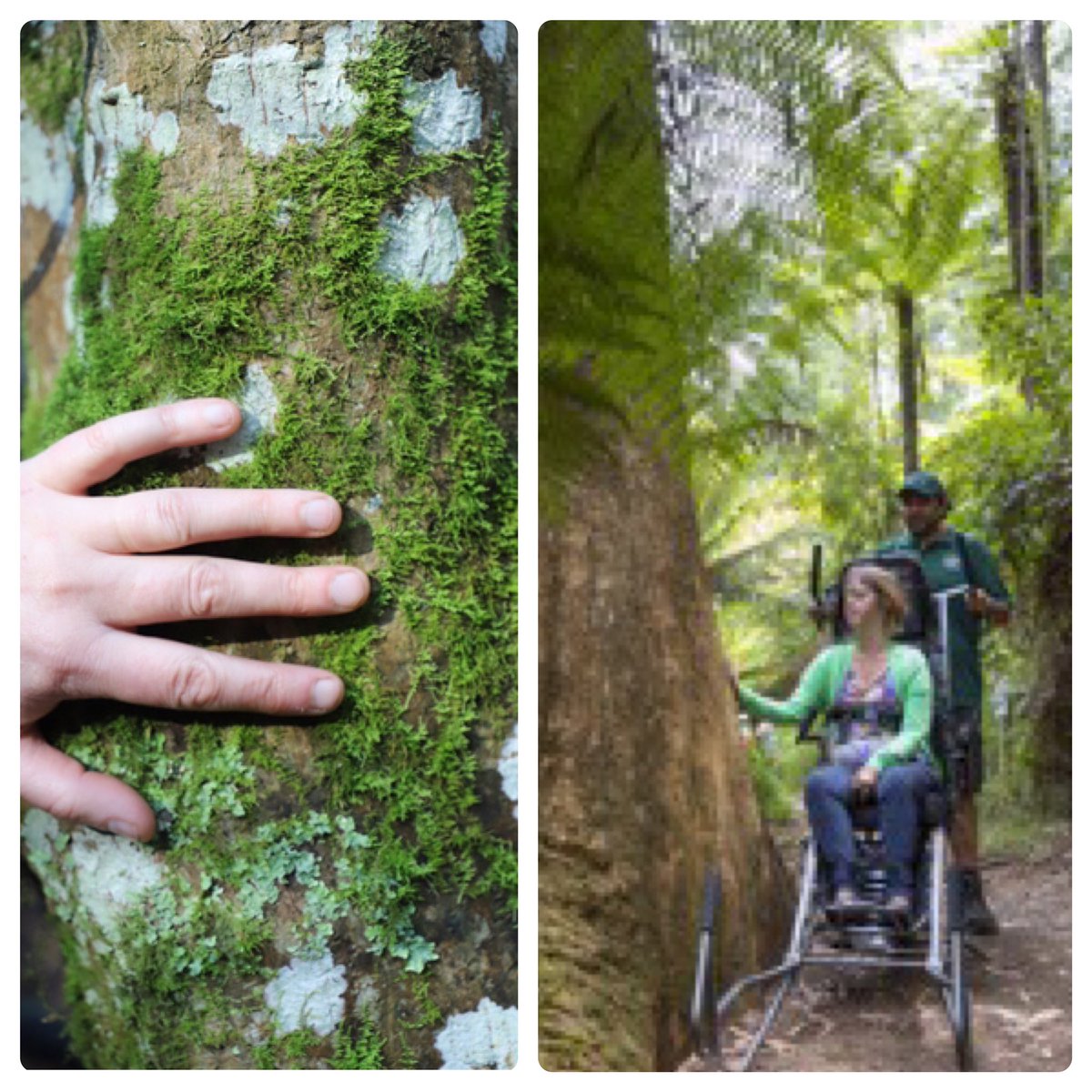 Sometimes we forget about the health benefits, physical &amp; psychological that we can derive from time spent in nature. These can be especially beneficial for the elderly &amp; terminally ill, many of whom find it difficult to “get out there”See more <a href="/DWDVic/">Dying With Dignity Victoria</a> 
dwdv.org.au/other-services…