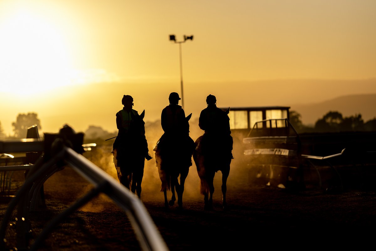 RacingSA's tweet photo. "We recognise there are times when people need access to professional support because personal, family or work issues are impacting their wellbeing."

We continue to offer a complimentary assistance program to licensed participants 💖

MORE INFO | https://t.co/60hVKL6IeB https://t.co/eiOSan6htd