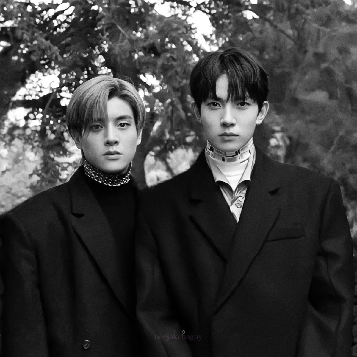 lheesoftie's tweet photo. powerful duo https://t.co/M6OI3qSTAS