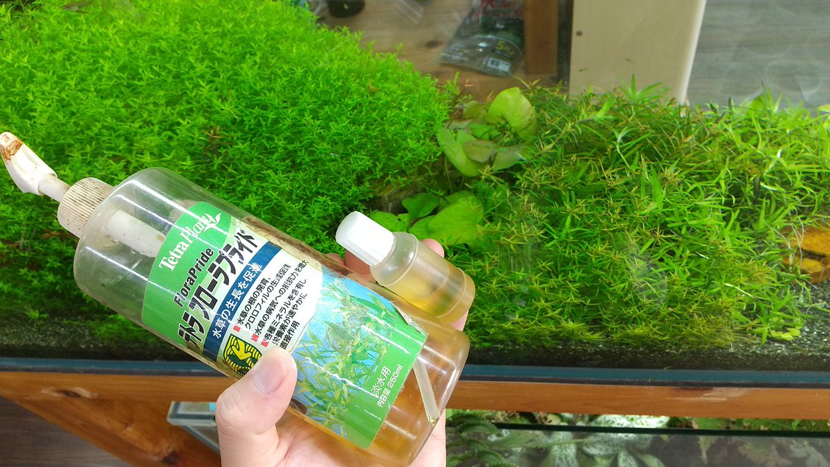 Marco Kandamizukusa Twitter