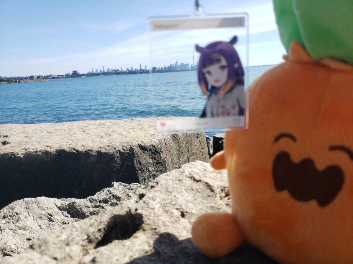 ArtOfBlart's tweet photo. Weekend Canada trip to Toronto + Niagra Falls
#ねっ子 #takogram https://t.co/YivMh62epY