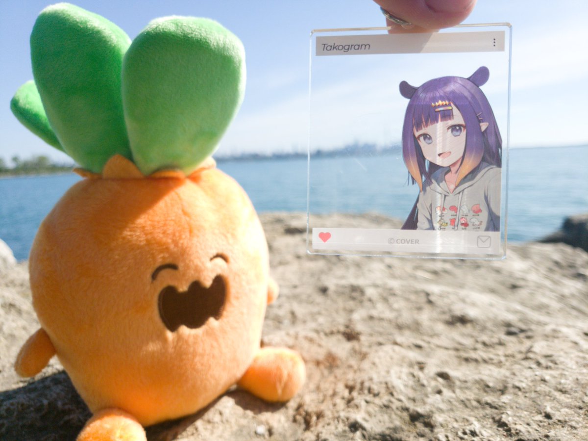 ArtOfBlart's tweet photo. Weekend Canada trip to Toronto + Niagra Falls
#ねっ子 #takogram https://t.co/YivMh62epY