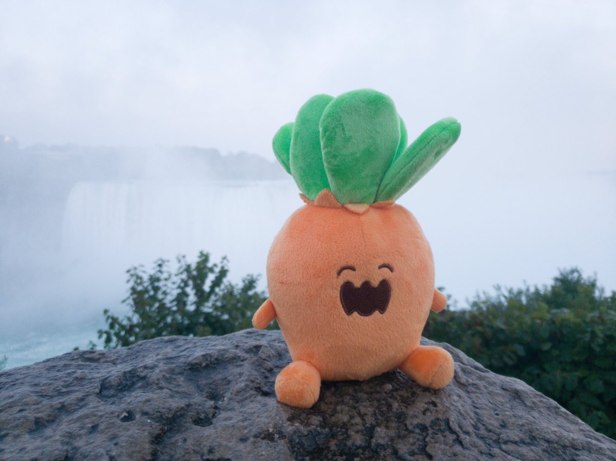 ArtOfBlart's tweet photo. Weekend Canada trip to Toronto + Niagra Falls
#ねっ子 #takogram https://t.co/YivMh62epY