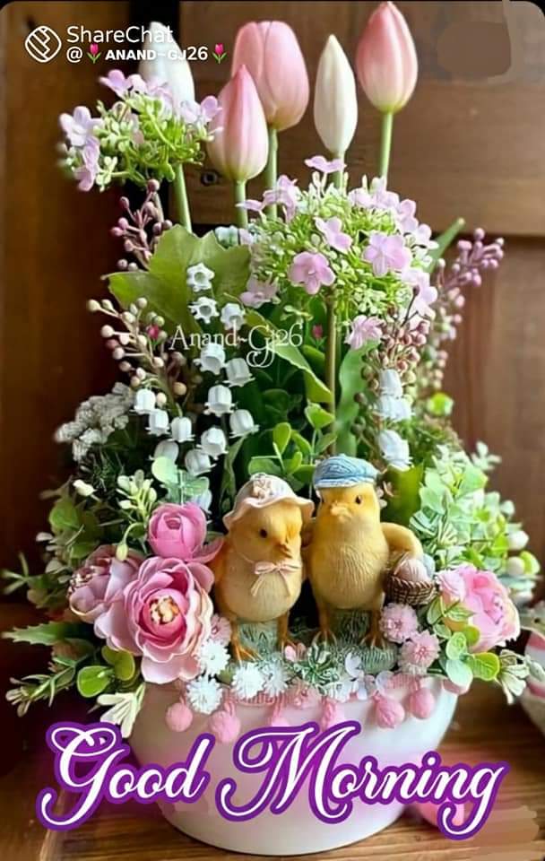 Jitendrakgarg's tweet photo. Good morning https://t.co/tFXAEY2juD