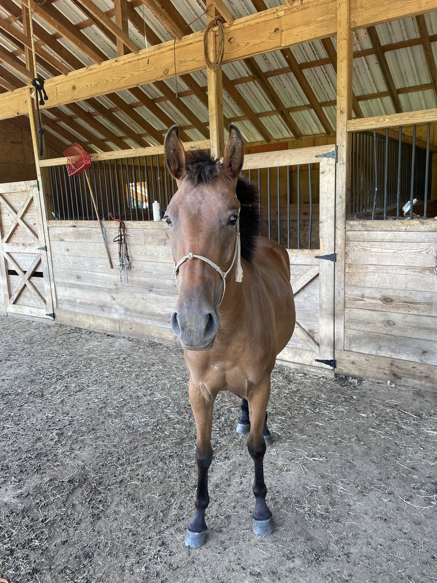 ͏ ͏ ͏ ͏ ͏ ͏ ͏ ͏Gose tweet media