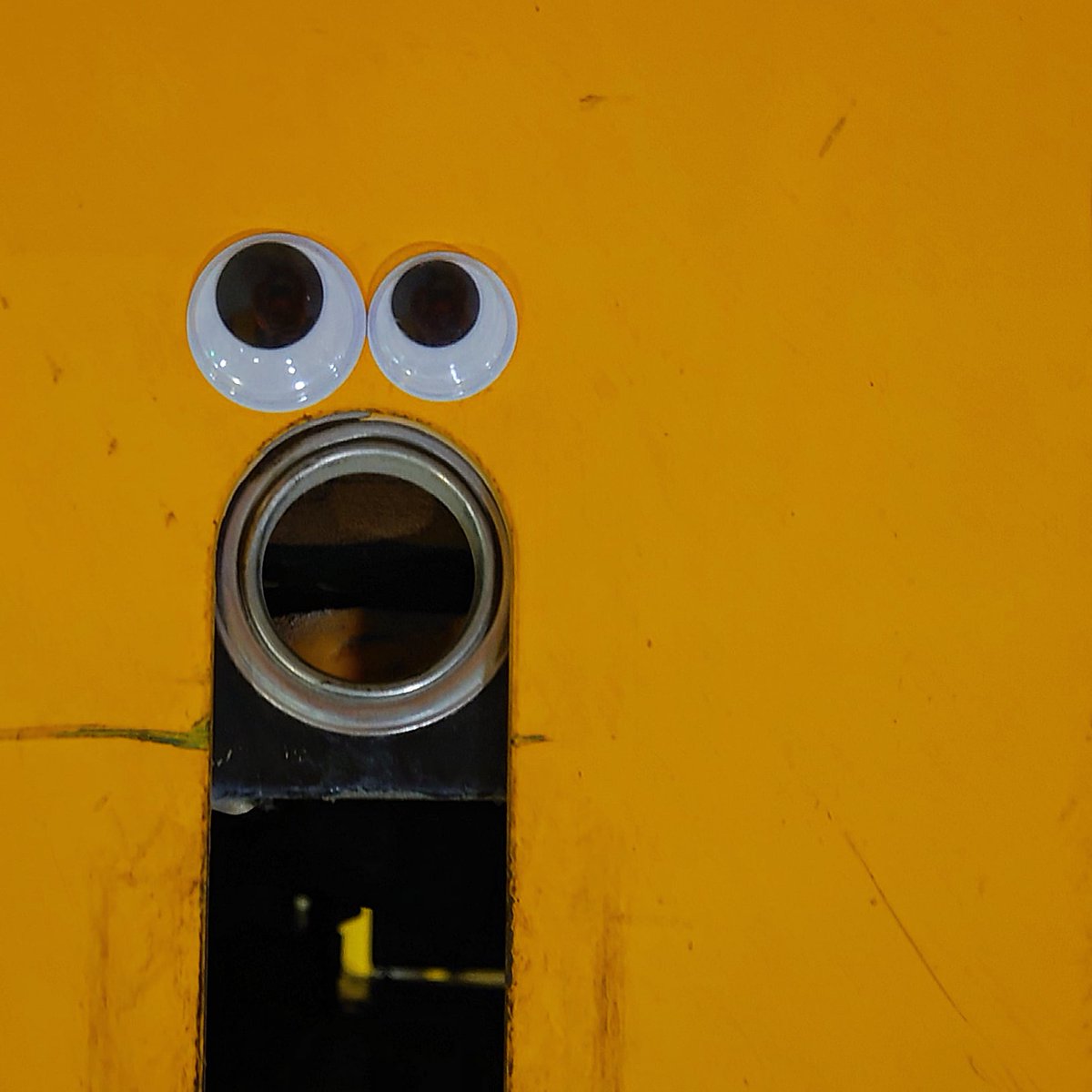 GooglyEyeNFT's tweet image. GM.

#googlyeyeschallenge #googlyeyes #googlyart
#NFT #NFTCommunity