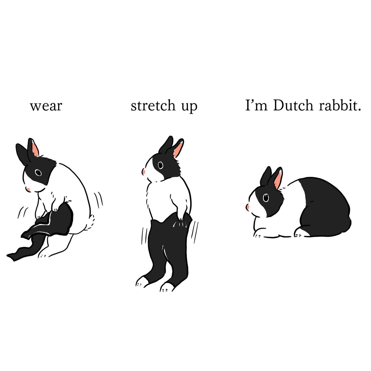 no humans white background simple background animal focus rabbit english text sitting  illustration images