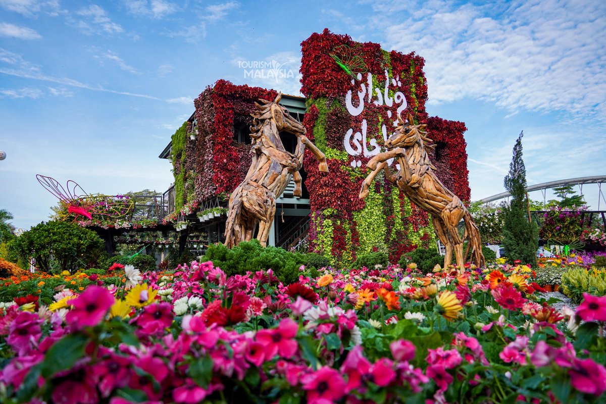 Malaysia Truly Asia tweet media