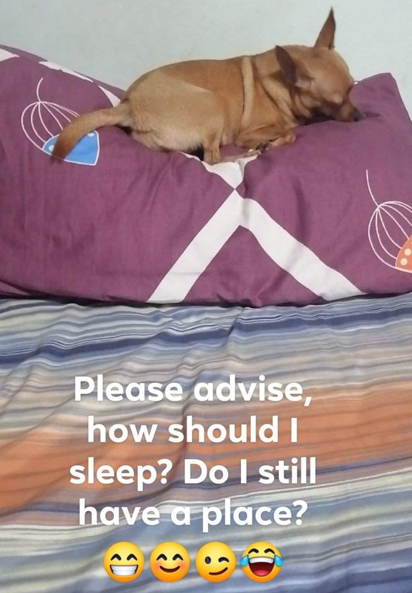 thanks mom for the daily dose of coco pics with captions lol