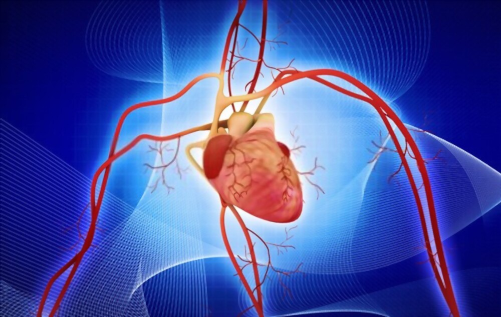 Austinw9523's tweet photo. #Cardiovascularmedicine is another area in which #imaging has become a #routine part of #medical #practice. 
 More info:https://t.co/NUmPKBO0Gc
#CardiovascularMedicine2023 #Conference #speaker #chicagoconference https://t.co/96BTiBTZ8o
