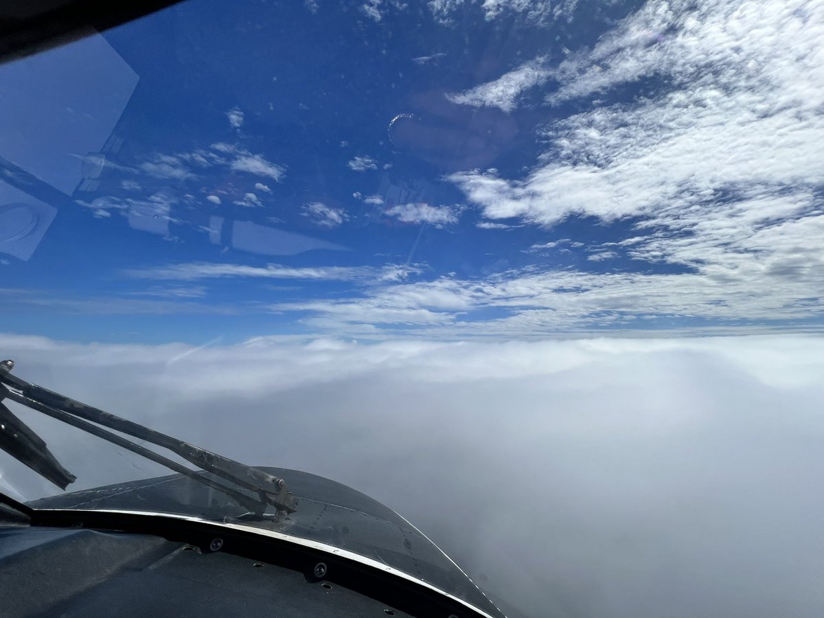 Aaron 🦈 tweet media