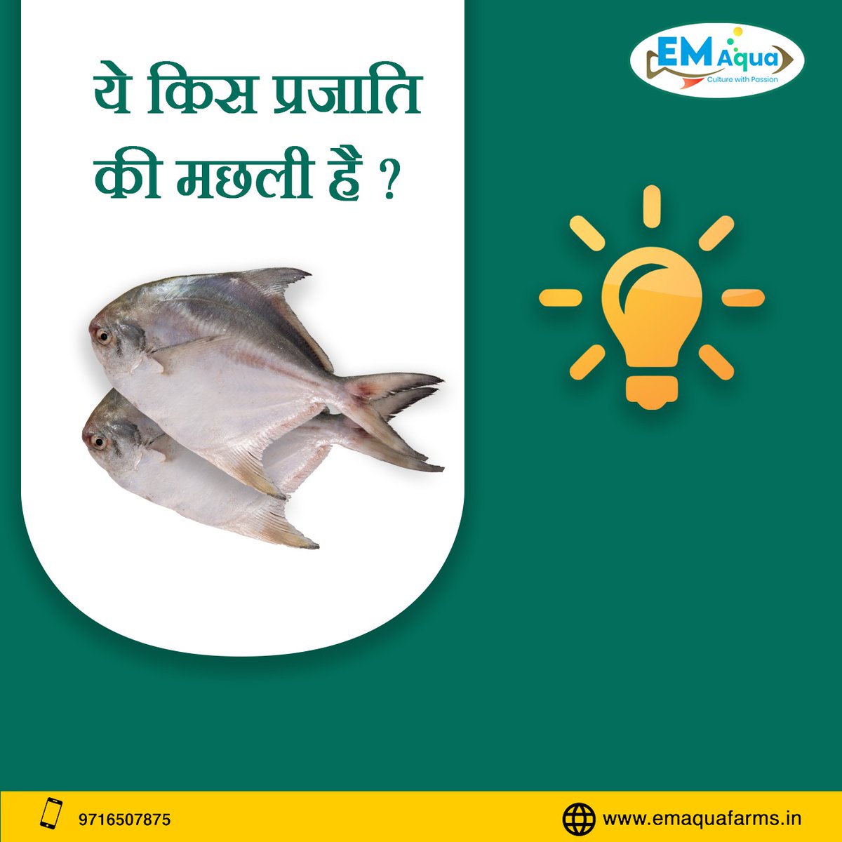 EMAQUA2's tweet image. QUIZ Time : ये किस प्रजाति की मछली है ??🐟🐟
#commentfast
अधिक जानकारी के लिए हमसे जुड़ें - +91-9716507875
मछली पालन के बारे में जानने के लिए emaquafarms.in पर जाएं।
.
.
.
.
.
.
#quiz #typesoffish #fishspecies #seafood #populerfishinindia #fishseeds #fishfarming