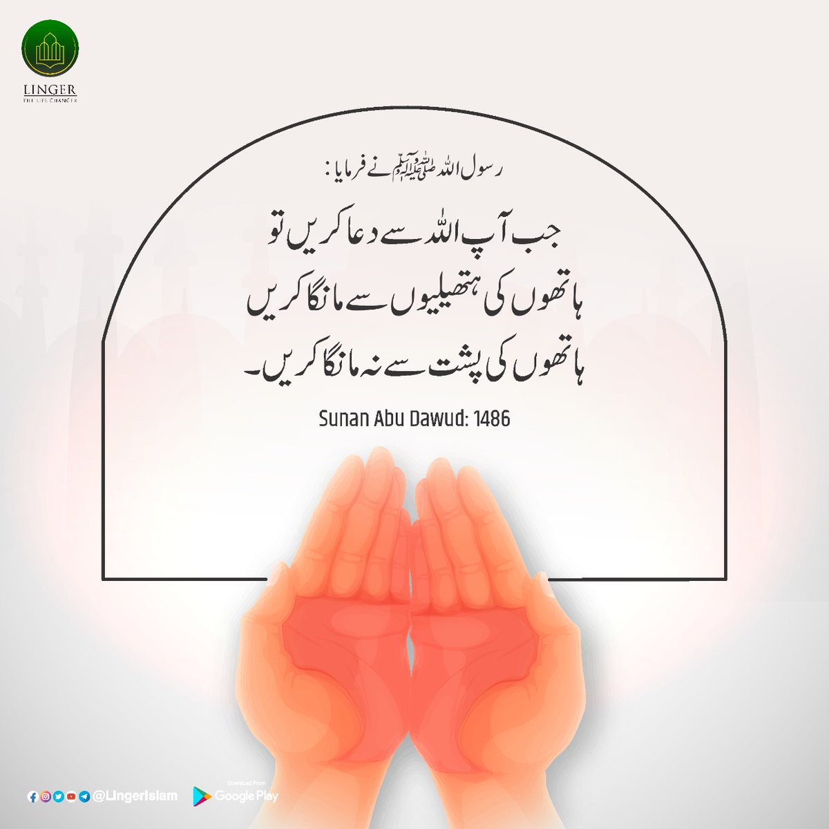 MillatCo's tweet photo. रसूल अल्लाह ﷺ ने फ़रमाया: जब तुम अल्लाह से दुआ करो तो अपने हाथों की हथेलियों से मांगा करो, हाथों के पीछे की ओर से मत मांगा करो ।
Sunan Abu Dawud : 1486
#LingerIslam #LearnPlayWin #LingerApp https://t.co/90MUdoUjjr