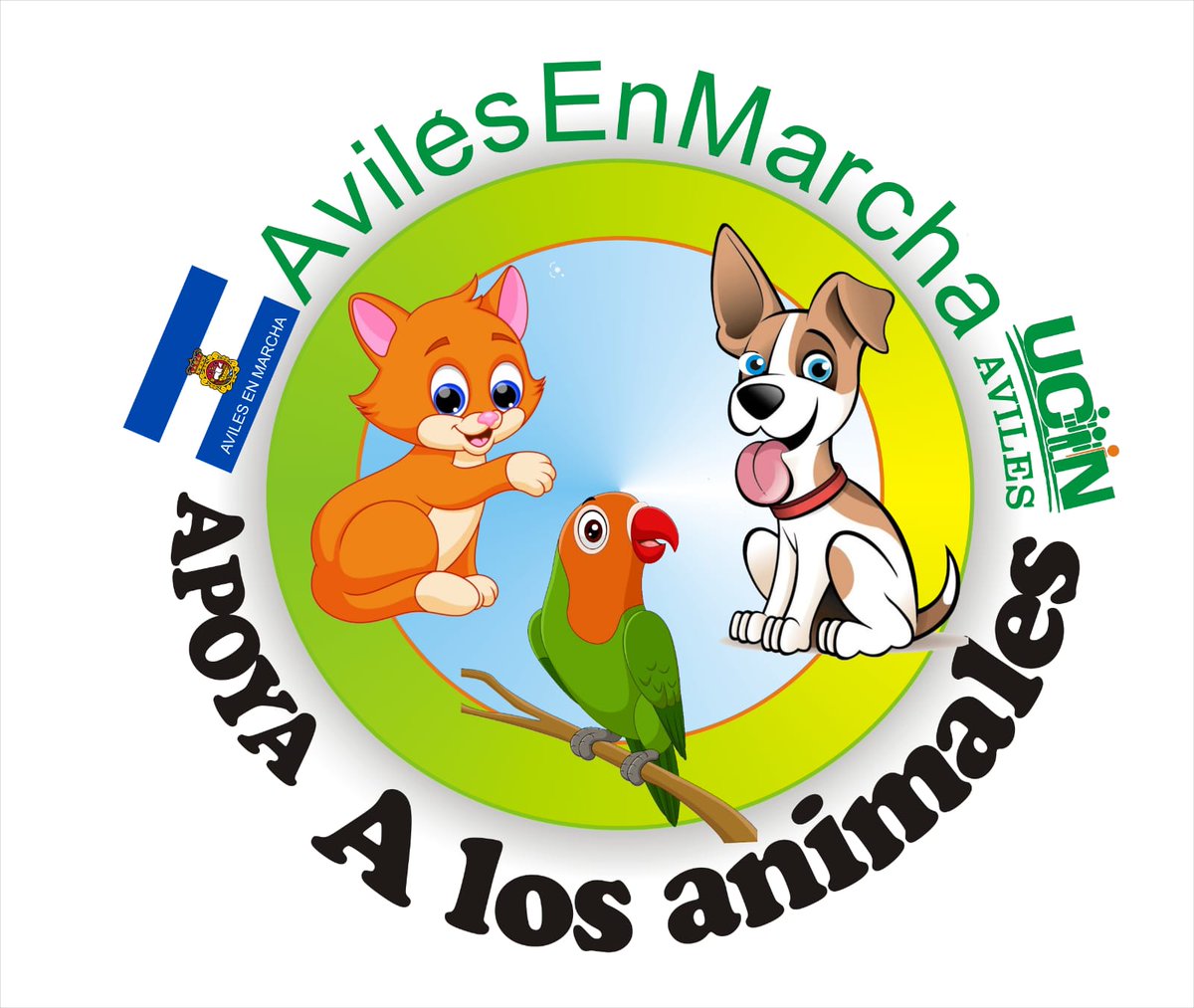 Marta Fdez del Viso (@martavisoc) on Twitter photo 