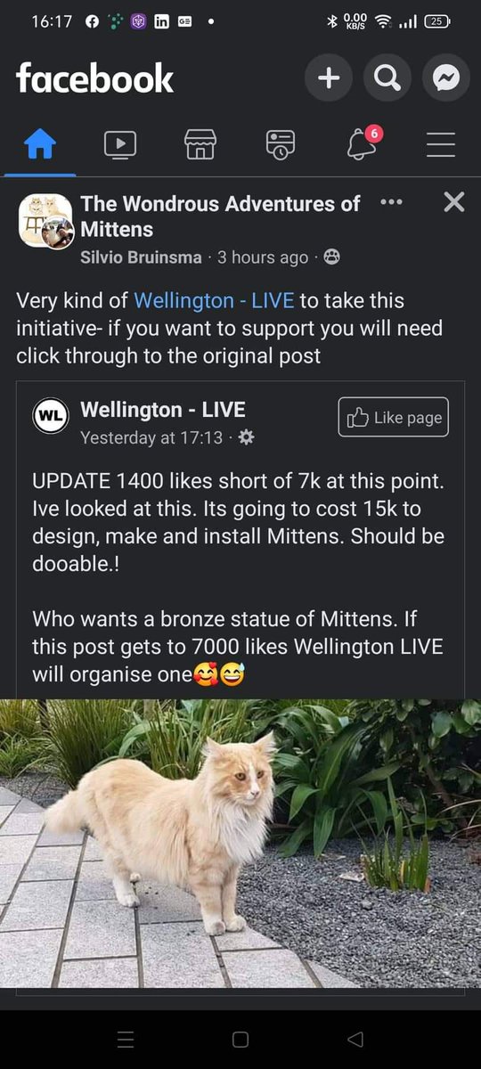 pandoratolson's tweet photo. Mr Geek tells me " @wellingtonlive_ is using your photo - it's the photo that keeps getting used." I think his planning to have a spot the photo competition. #mittens #wellington #Viral #viralphoto https://t.co/3s40Fv6LLG