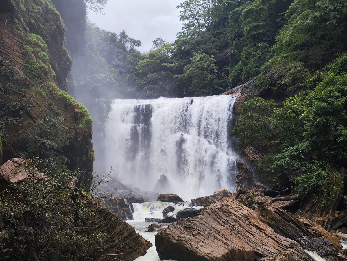 WanderingAwara's tweet photo. Good morning fam. Let's start the week with the wonderful energy from nature. 
.
.
.
.
.
 #NFT #NFTCommunity #nftart #nftindia #nftphotography #nftphotographer #mondaythoughts #GoodVibesAtRiverFest https://t.co/3Q3q1pbjLp