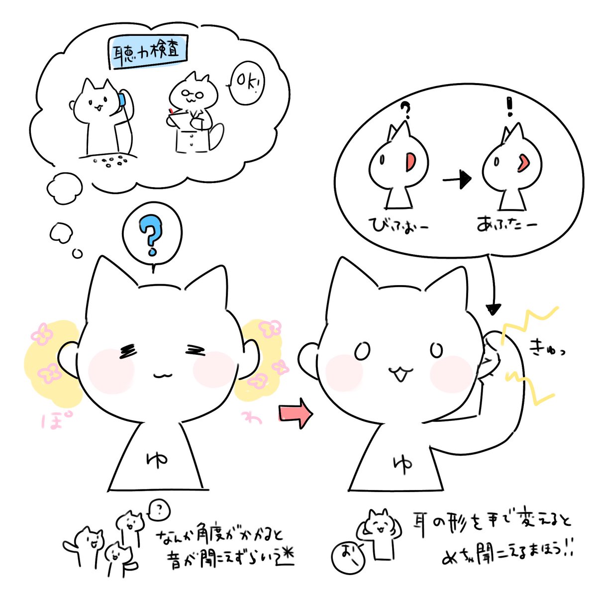 聴力が検査では一切悪くないんですが、耳の形が悪いから?時々人の声がちゃんと拾えなくてたまに会話してると😟???ってなる人は多分これ説あって、耳の形変えたくなる🥺
耳キュッで2倍くらい聴こえが変わるw