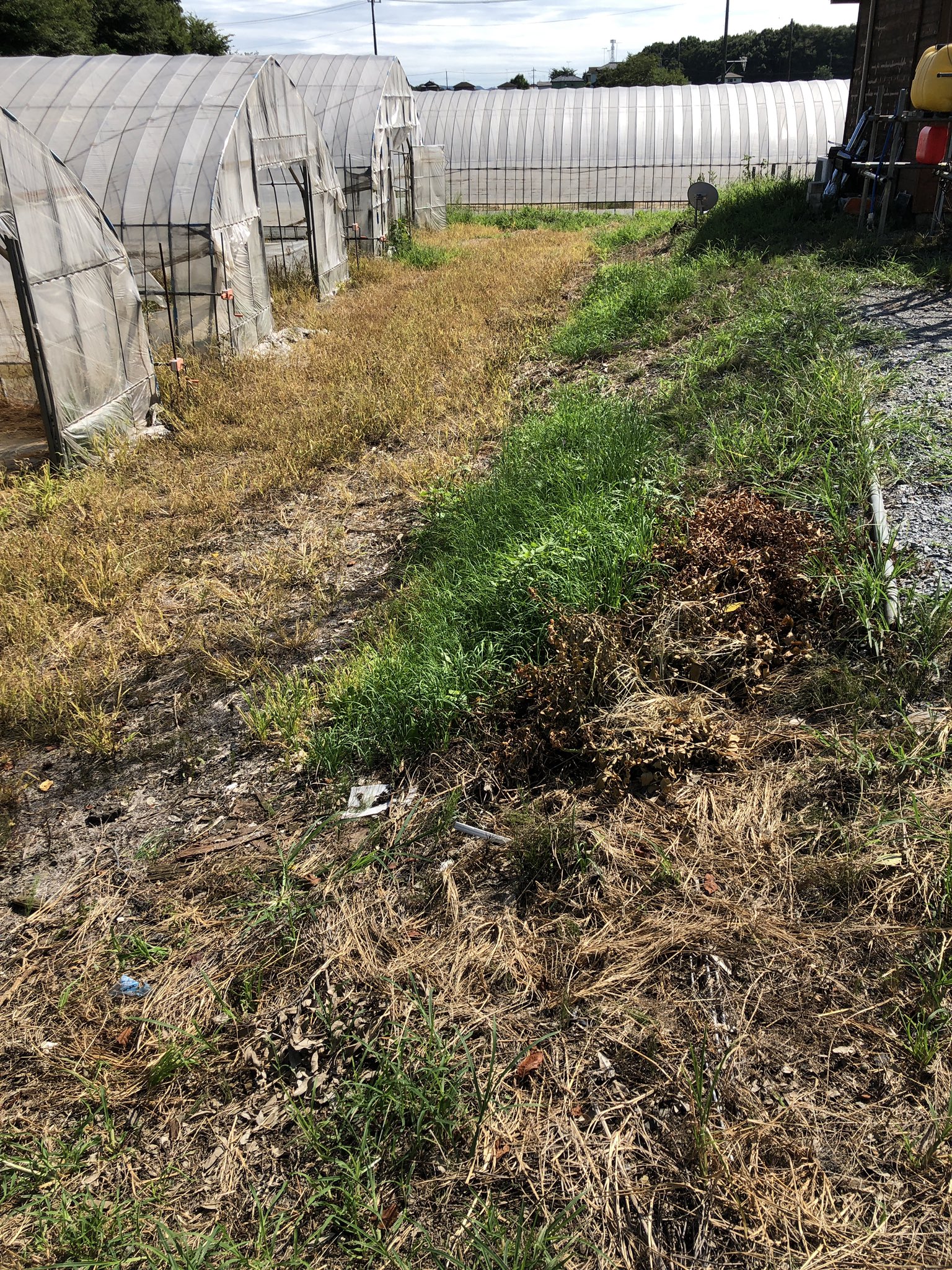 Halfday Off Life Halfday Off Twitter