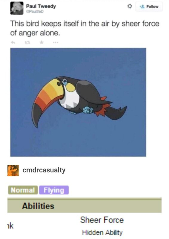 Liam_981031's tweet photo. I don't remember where I found this, but this is one of the funniest memes involving Toucannon I've ever seen! 🤣 🤣 🤣
#Pokemon #Toucannon #Memes #AngerManagement #FunnyPicture #Alola #BirdPokemon #SheerForce https://t.co/3G853LDqhL
