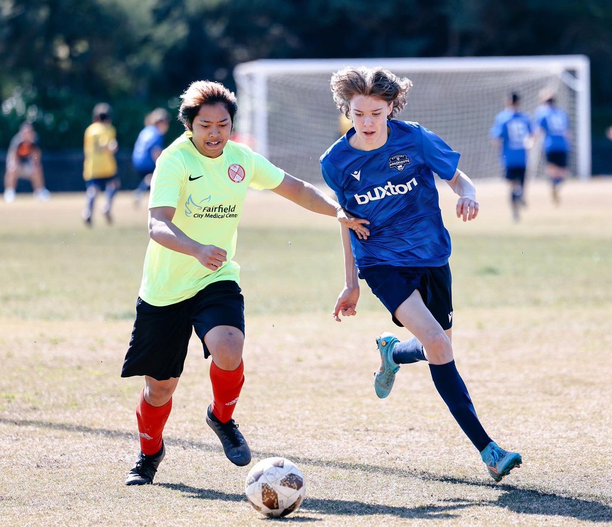 BAYSIDE ARGONAUTS FC tweet media