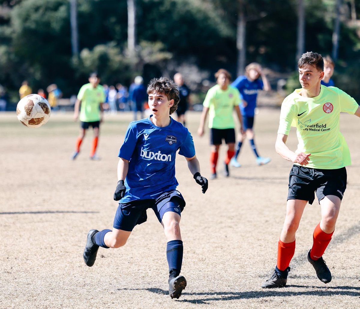 BAYSIDE ARGONAUTS FC tweet media