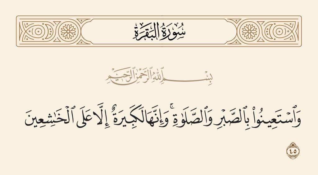 azzam_mustafa1's tweet photo. ❤️ https://t.co/tAq3zB5W0T