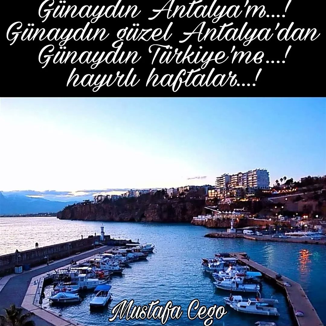 MustafaCego2's tweet image. 