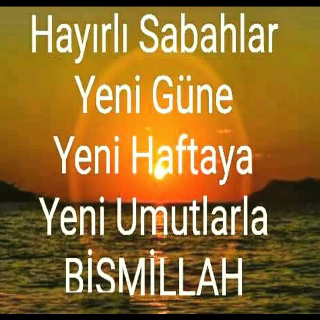 MustafaCego2's tweet image. 