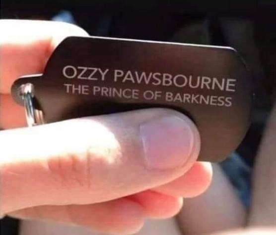 I have a name for my next dog: