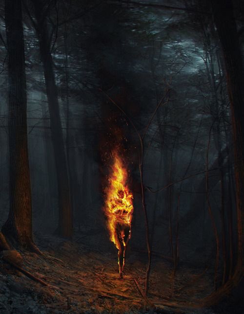 🌧مَاريّا🌱☘️🌿 tweet media