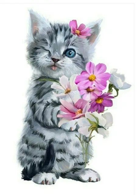 XQK4QWAD0kfwlhE's tweet photo. Когда начинается новый день, 
рождаются новые мечты.
Пусть все мечты будут светлыми,
а день солнечным и добрым. https://t.co/0uZOBtDKAi