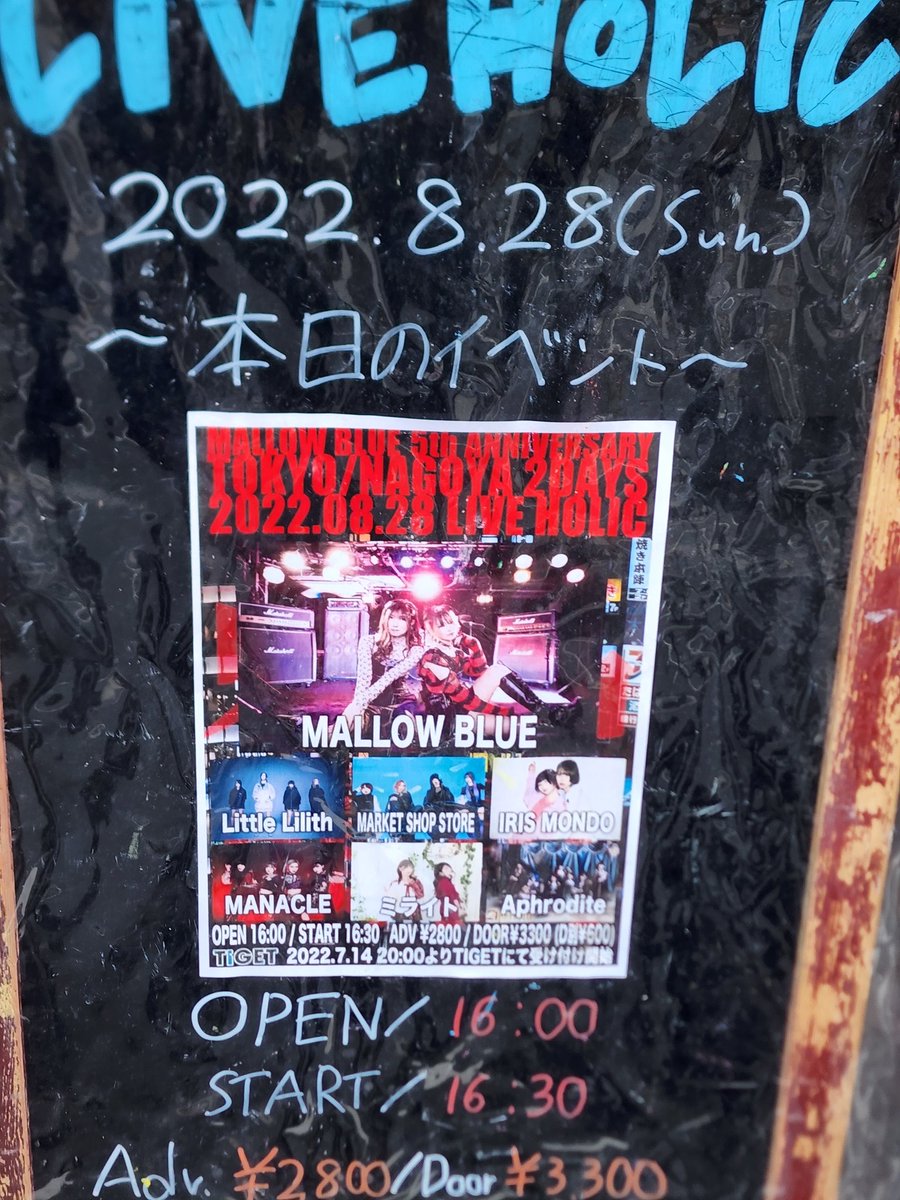 Koala199011's tweet photo. 昨日の応援ライブっち🐨🐨🐨ここっち🐨🐨🐨✊下北沢HOLICさんっち🐨🐨
MALLOWBLUEっち🐨主催ライブっち🐨🐨🐨5周年おめでとう🎉っちなあ🐨久しぶりの東京っち🐨応援に行けて嬉しいっち🐨🐨🐨✊

#Aprodite
#MANACLE
#ミライト
#IRISMONDO
#LittleLilith
#MARKETSHOPSTORE
#MALLOWBLUE https://t.co/Z7FTbX3fS7