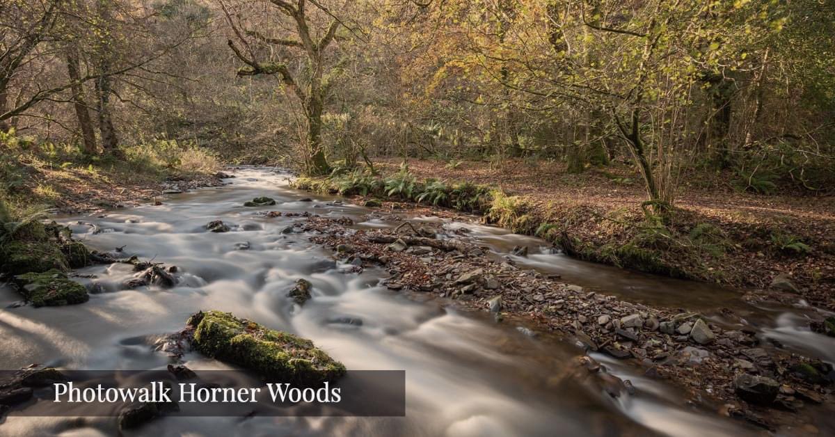 Exmoor Camera Club tweet media