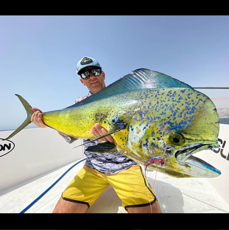 ZZ_Troutski's tweet photo. What a great shot
@noboundariesoman
• Bull Whip • Awesome PB Mahi for @matthewpickering_fishing &amp; raddest of all caught on a fly tied up by his son Tom ..  🏴‍☠️#flyfishing #saltwaterflyfishing #groupshare #thetugisthedrug #explore #adventure #travel #dorado https://t.co/Xpxdtkzyrq