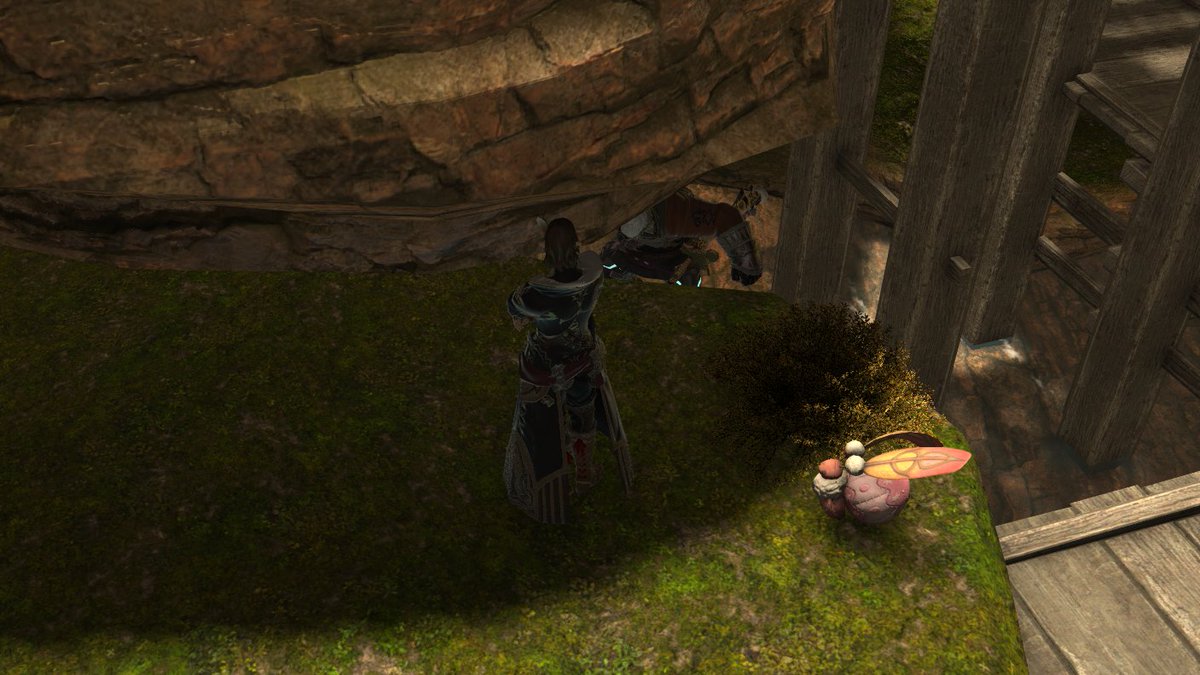 ff14_wm's tweet photo. [AZ]
Look at the poor boy who is stuck in a cliff... https://t.co/TCaVNRjcOD